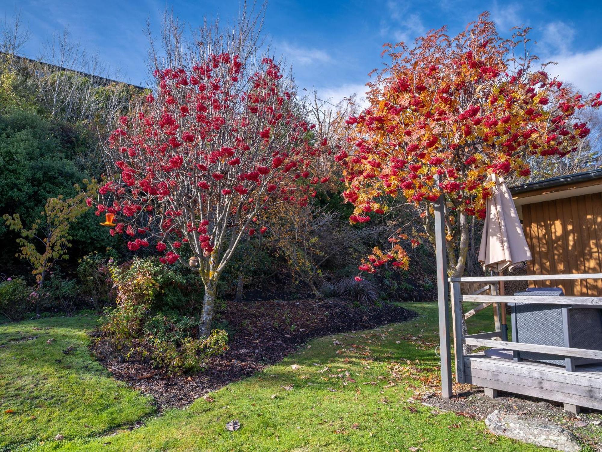 Wanaka Springs Lodge Exteriér fotografie